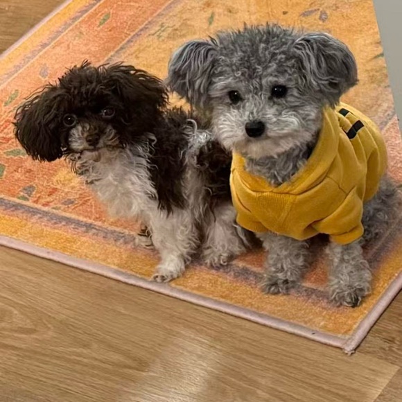 Meet your Posher, Michael - Picture 1 of 1